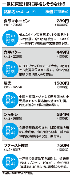 201205_monthly株ピタッ