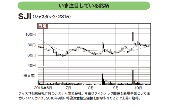 自腹投資100万円で老後安泰大作戦