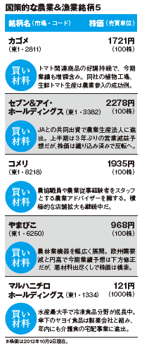 201212_monthly株ピタッ