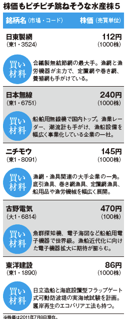 今月の拡大シナリオ