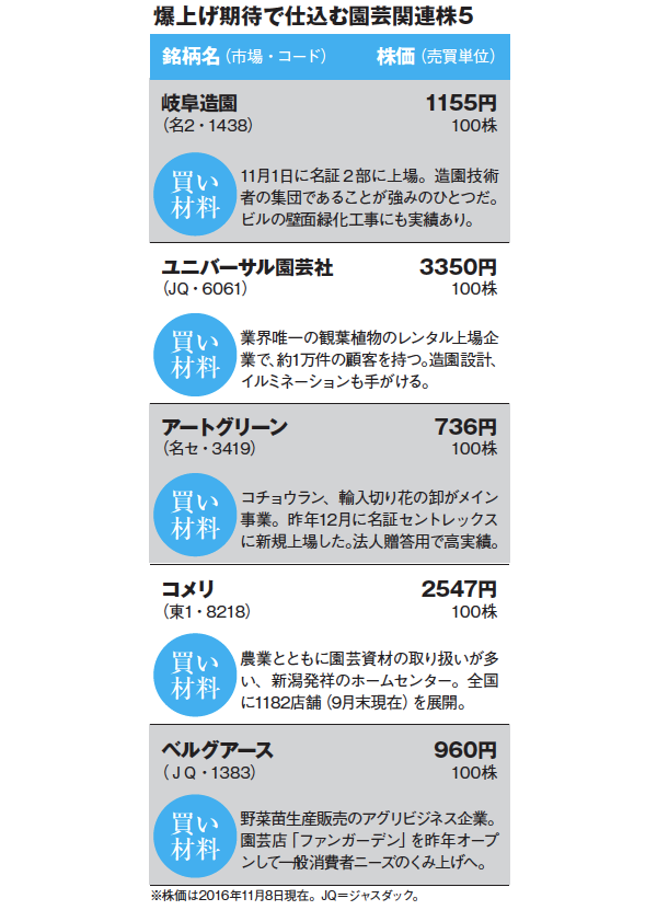 MONTHLY株ピタッ!!