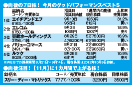 201212_monthly株ピタッ